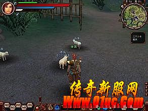 ���ڵ�ְҵ����sf