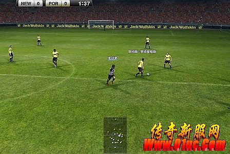 ��Ѫ�������η�ʯ�ƺ�