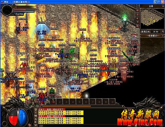 ��Ѷ������Ѫ�������